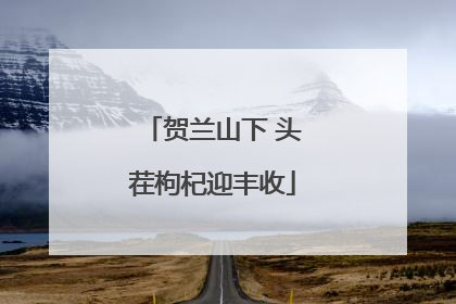 贺兰山下 头茬枸杞迎丰收